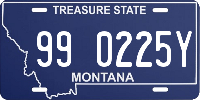 MT license plate 990225Y