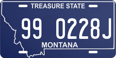 MT license plate 990228J