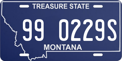 MT license plate 990229S