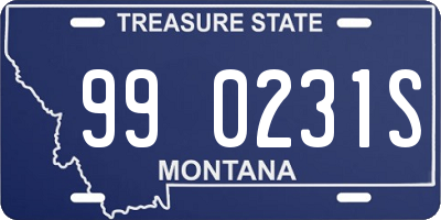 MT license plate 990231S