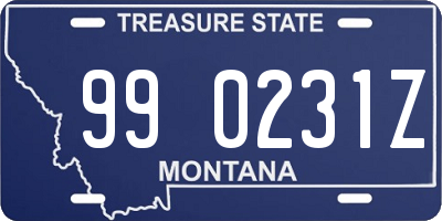 MT license plate 990231Z