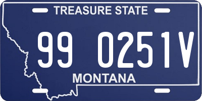 MT license plate 990251V