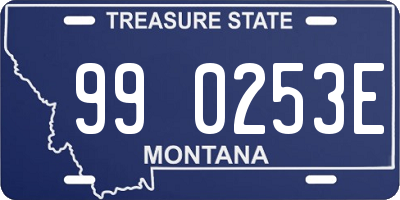 MT license plate 990253E