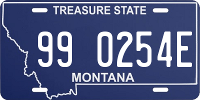 MT license plate 990254E