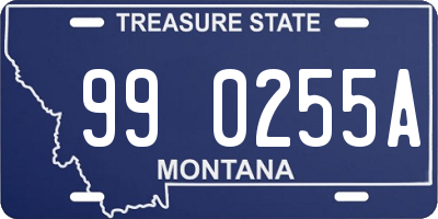 MT license plate 990255A