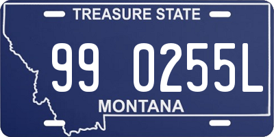 MT license plate 990255L