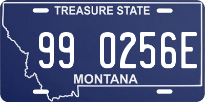 MT license plate 990256E