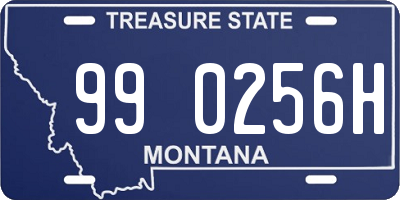 MT license plate 990256H