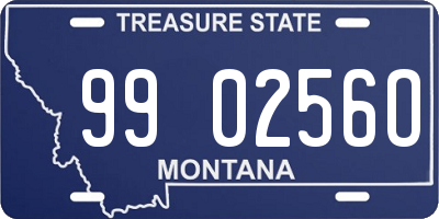 MT license plate 990256O