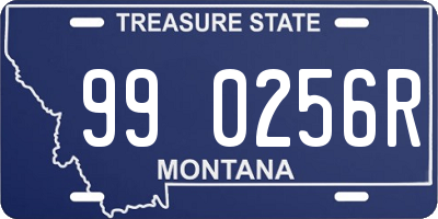 MT license plate 990256R