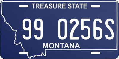 MT license plate 990256S