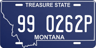 MT license plate 990262P