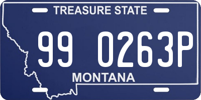 MT license plate 990263P