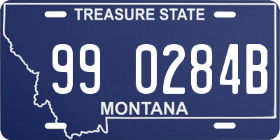 MT license plate 990284B