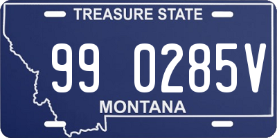 MT license plate 990285V