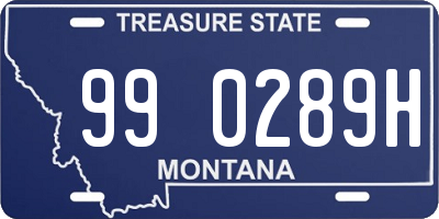 MT license plate 990289H