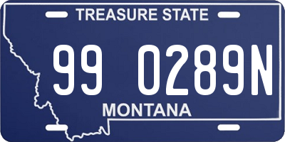 MT license plate 990289N