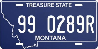 MT license plate 990289R