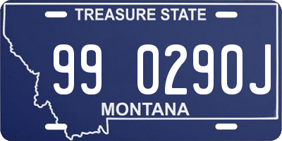 MT license plate 990290J