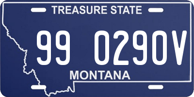 MT license plate 990290V