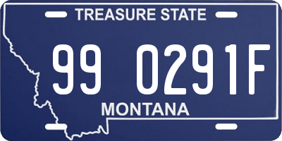 MT license plate 990291F