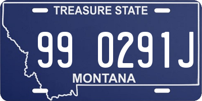 MT license plate 990291J