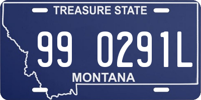 MT license plate 990291L