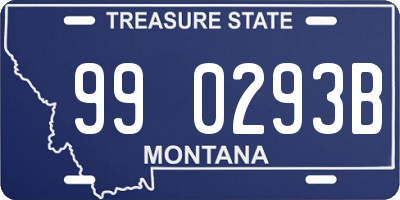 MT license plate 990293B