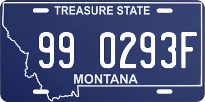 MT license plate 990293F