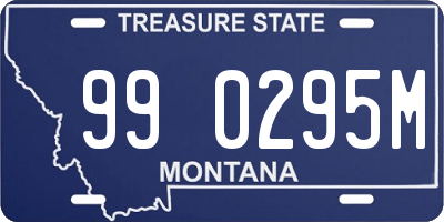 MT license plate 990295M