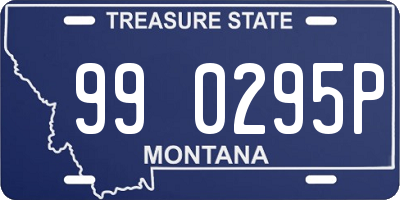 MT license plate 990295P