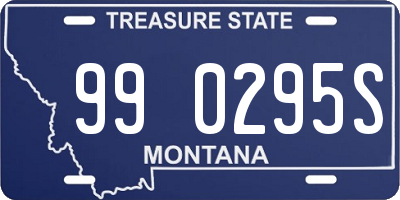 MT license plate 990295S