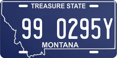 MT license plate 990295Y