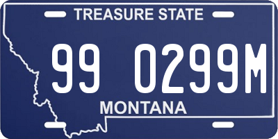 MT license plate 990299M