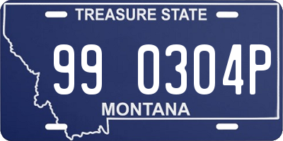 MT license plate 990304P