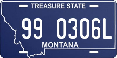 MT license plate 990306L