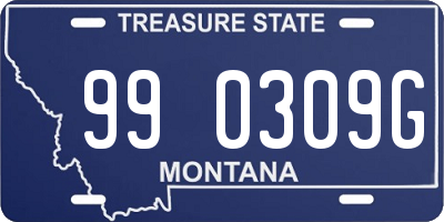 MT license plate 990309G