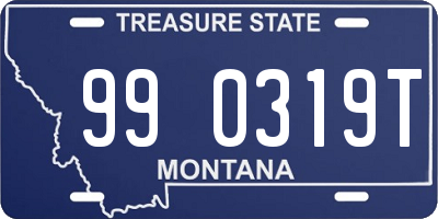 MT license plate 990319T