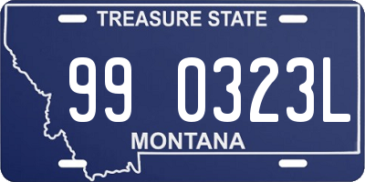 MT license plate 990323L