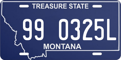 MT license plate 990325L