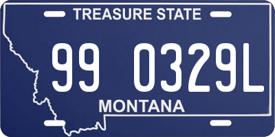 MT license plate 990329L