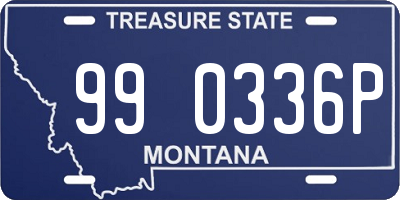 MT license plate 990336P