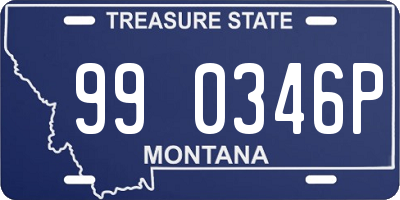 MT license plate 990346P