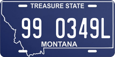 MT license plate 990349L