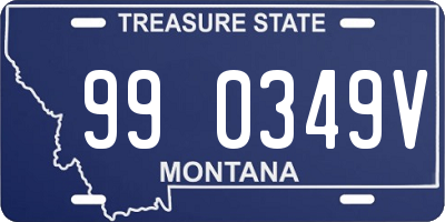 MT license plate 990349V