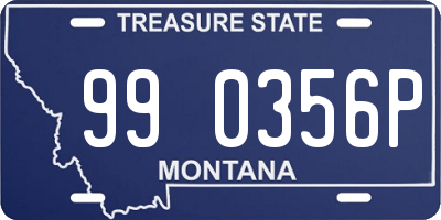 MT license plate 990356P