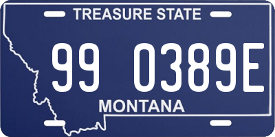 MT license plate 990389E