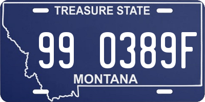 MT license plate 990389F