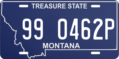 MT license plate 990462P