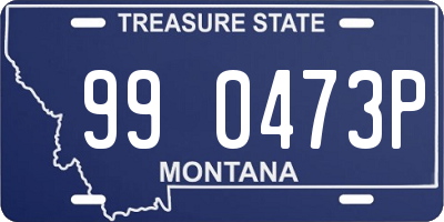 MT license plate 990473P